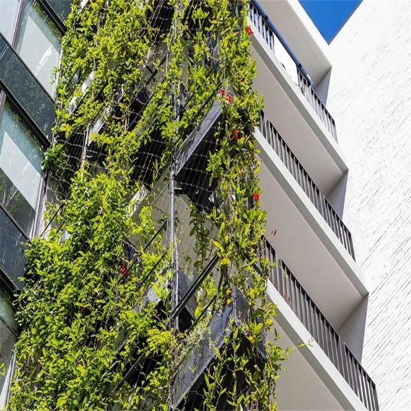 Green wall system installed on the balcony