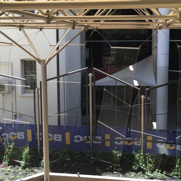 Irregular plant climbing net system is installed on outdoor frames.