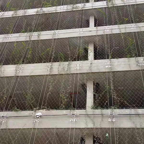 Green plants are climbing on the wall with hand woven mesh.