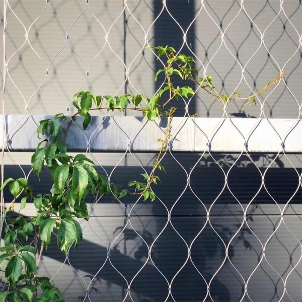 Plant climbing net installed on the wall