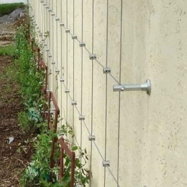 Trellis system installed on the wall